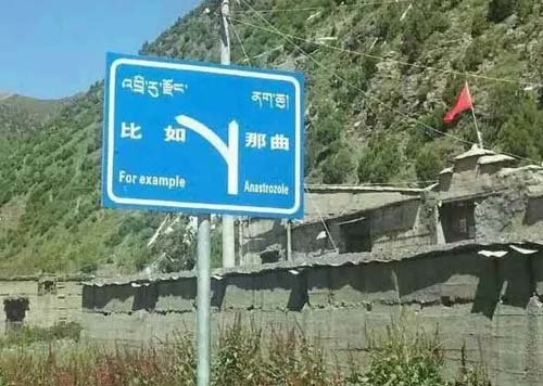 絕境中的守護者！“地獄之路”聯合卡車高空救主